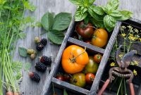 Plant-Based Diet Explained: Foods, Benefits & Sample Recipes
