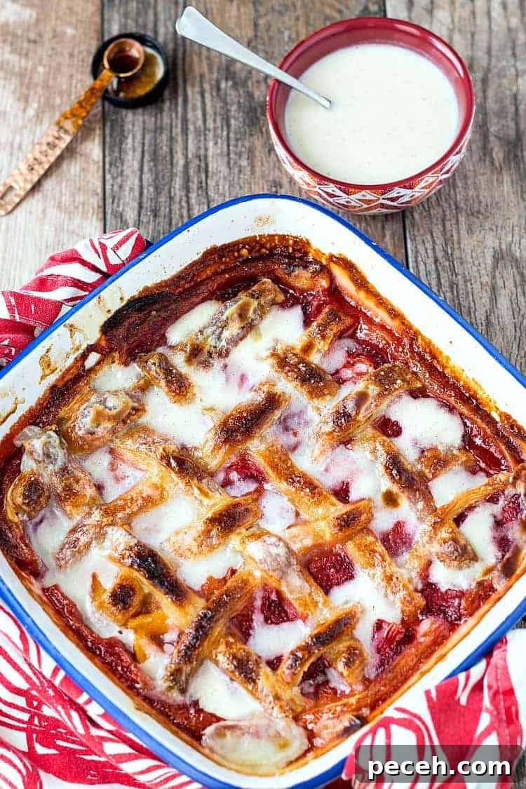 featured 16647