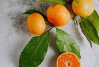 Plant-Based Collagen Boosters: Natural Vegan Alternatives for Skin and Joints
