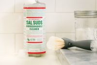Home Cleaning Strategies for Limited Mobility