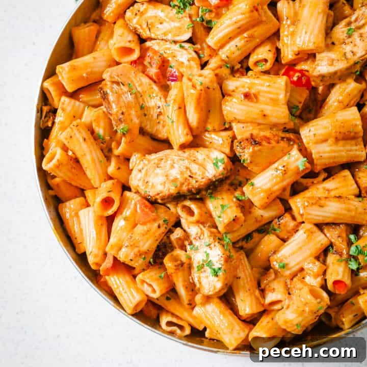 creamy pasta and chicken in a pan