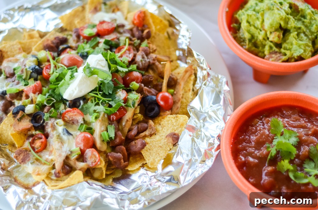 20+ Mexican Air Fryer Recipes for Quick, Flavorful Meals 3 air fryer nachos