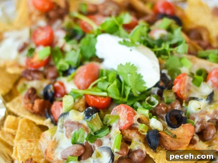 Image for Air Fryer Plate Nachos