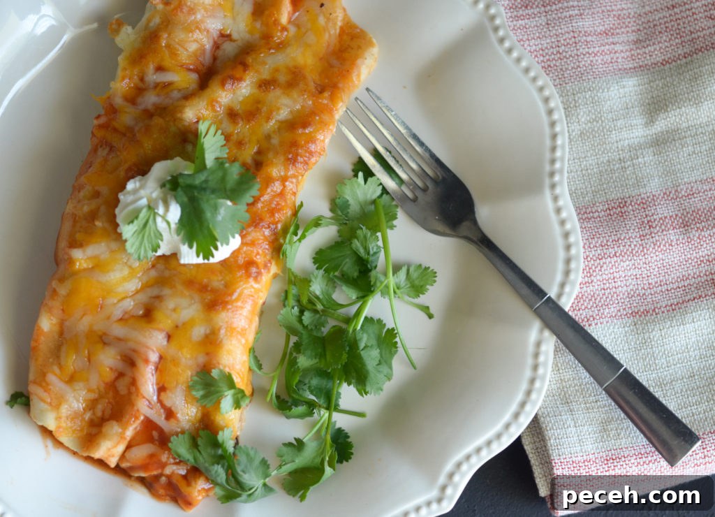20+ Mexican Air Fryer Recipes for Quick, Flavorful Meals 6 air fryer mexican recipes