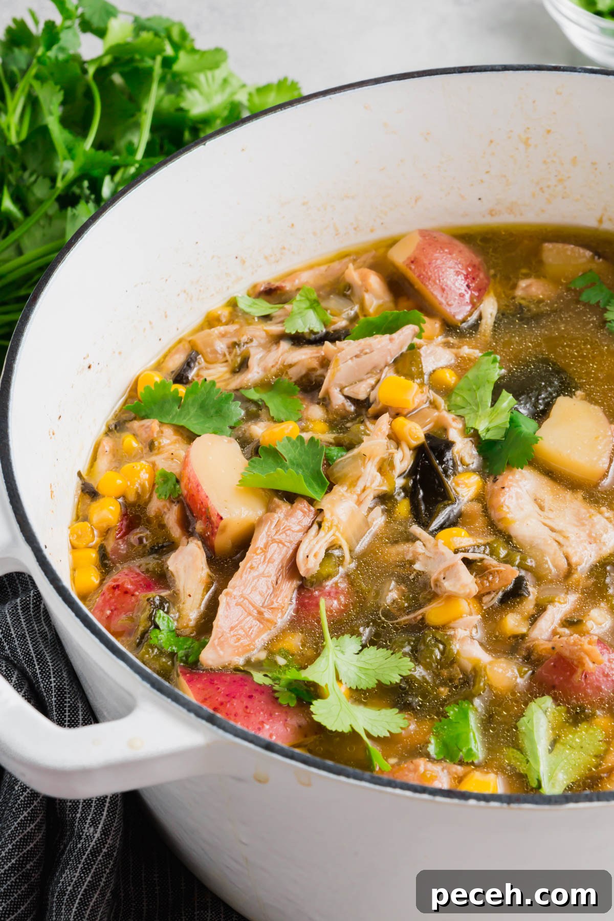 Roasted Chicken and Poblano Soup Recipe 13 A white dutch oven with roasted poblano chicken soup topped with cilantro in it and a bunch of cilantro in the background.