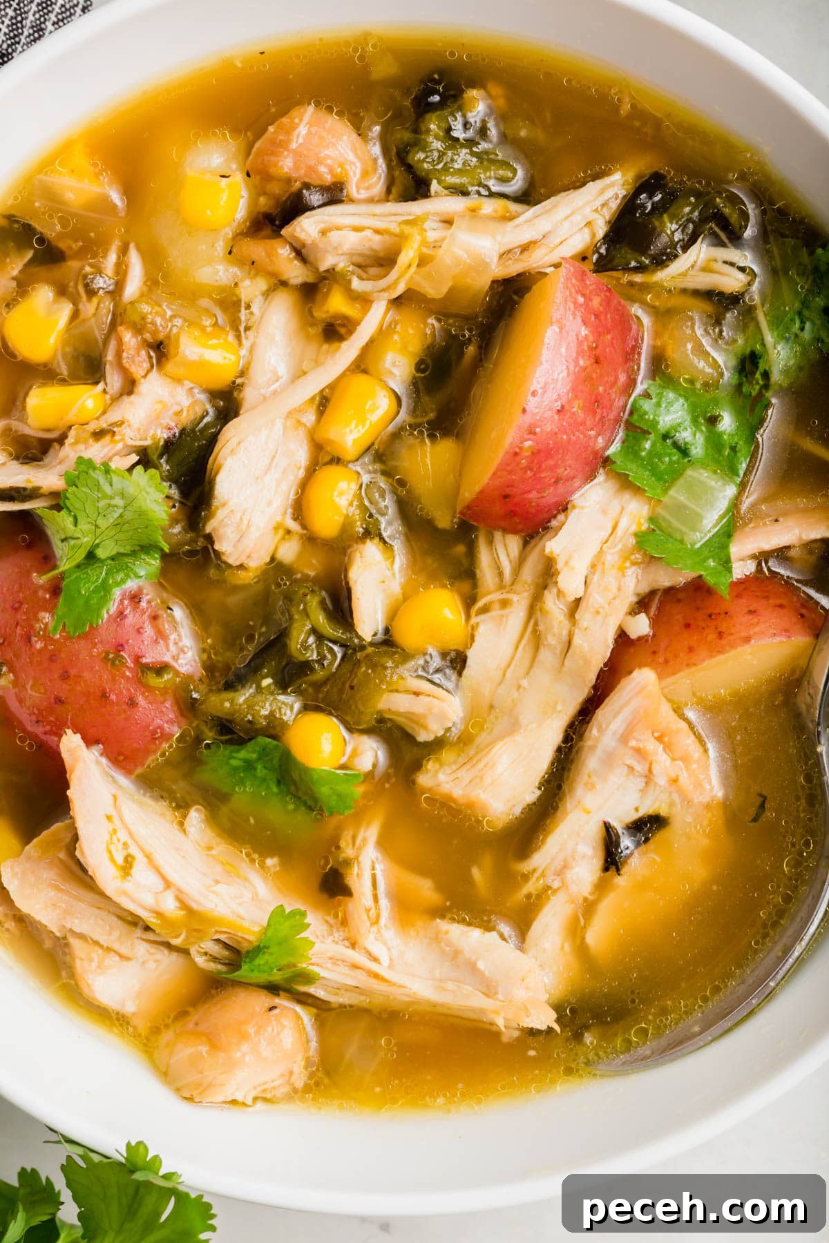 Roasted Chicken and Poblano Soup Recipe 14 A bowl of poblano chicken soup with potatoes, corn, and cilantro.