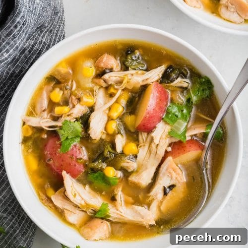 Roasted Chicken and Poblano Soup Recipe 15 A photo of roasted poblano chicken soup filled with roasted red potatoes and corn.