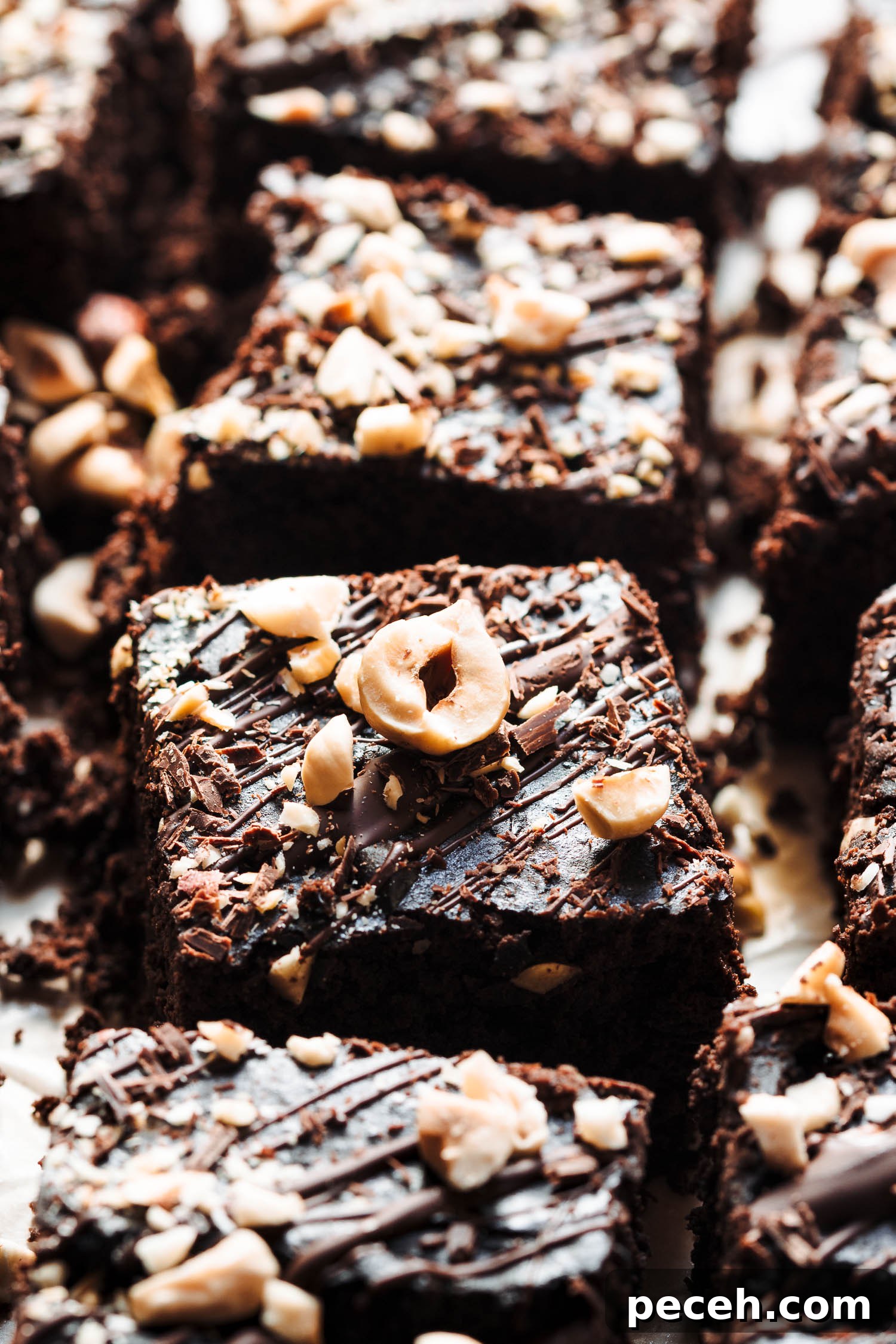 Vegan Black Bean and Unsweetened Cocoa Brownies 5 img 1032 4
