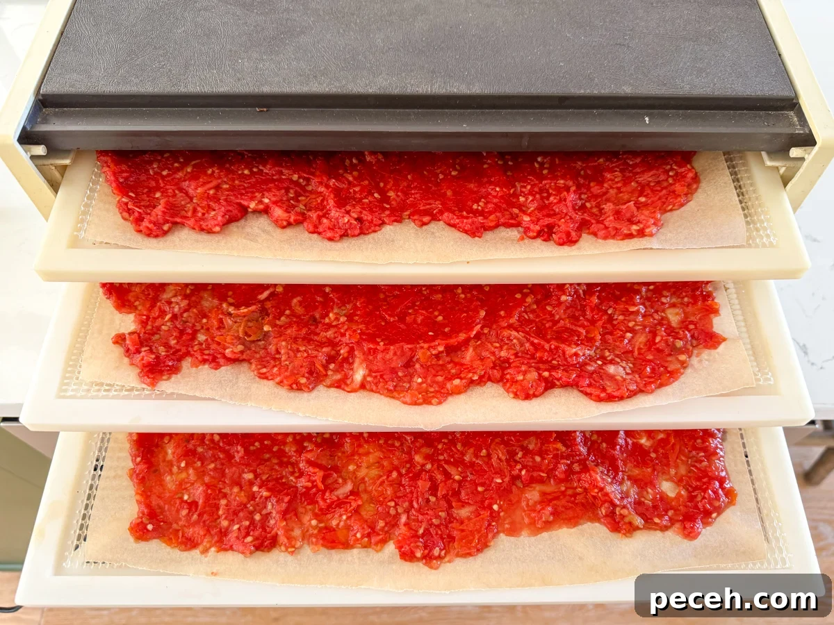 Canned Pizza Sauce Recipe Using Fresh or Frozen Tomatoes 6 tomato pulp on dehydrator trays