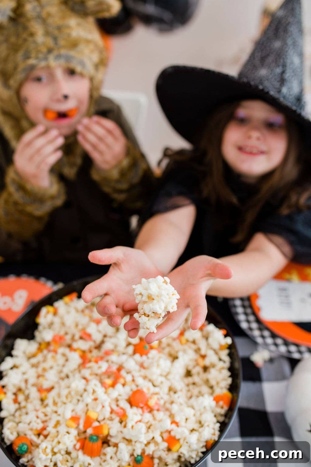 img 106046 5