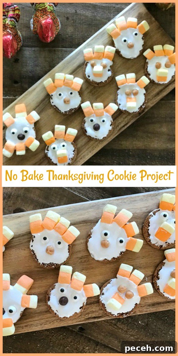 No-Bake Thanksgiving Cookies: Simple No-Bake Treat Ideas 6 Finished cookies