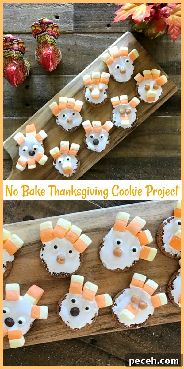 No-Bake Thanksgiving Cookies: Simple No-Bake Treat Ideas 9 More finished cookies