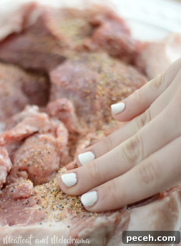 Tender Pulled Pork in the Instant Pot: Quick, Juicy Recipe 3 rub spices on instant pot pulled pork roast