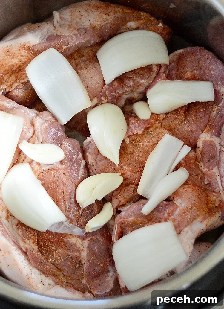 Tender Pulled Pork in the Instant Pot: Quick, Juicy Recipe 4 instant pot pulled pork roast with onions and garlic