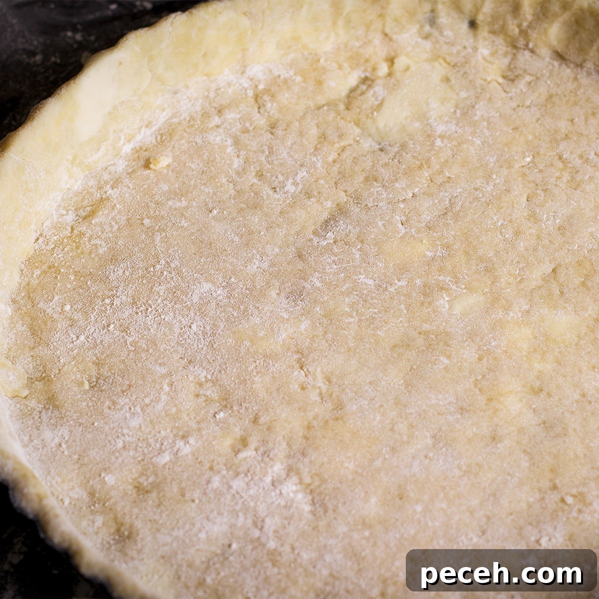 A tart pan that's been fitted with tart pastry dough.