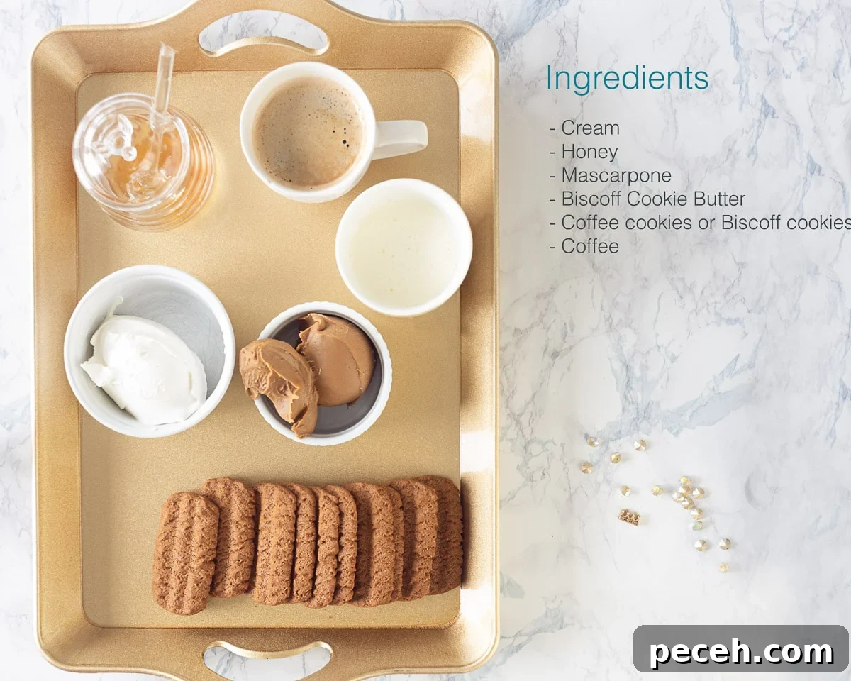 Speculoos Tiramisu Recipe with Biscoff Spread 2 Ingredients Speculoos tiramisu with biscoff cookie butter on a marbled background. A text overlay describing the ingredients