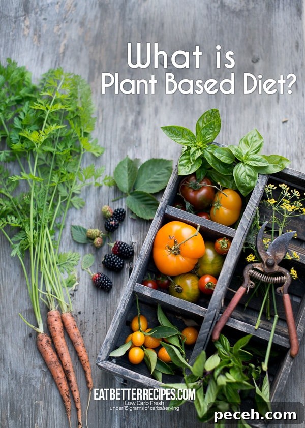 What is Plant Based Diet? Recipes for Plant Based Diet | EatBetterRecipes.com What is Plant Based Diet? Recipes for Plant Based Diet
