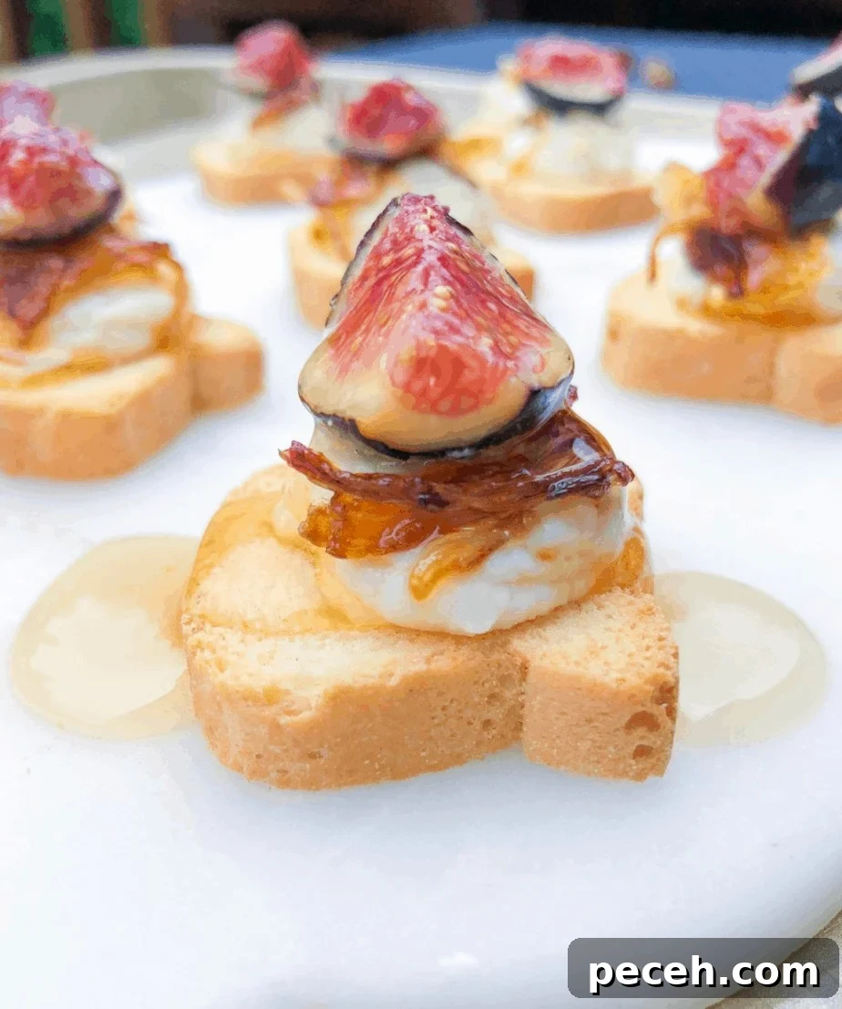 Mini Canape Toasts for Party Appetizers 2 Mini canape toasts with goat cheese and figs.