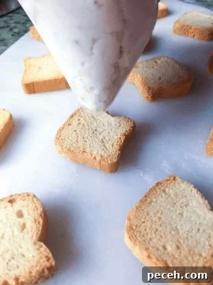 Mini Canape Toasts for Party Appetizers 4 Mini Canapé Toasts With Sweet Cheese are a great party appetizer.