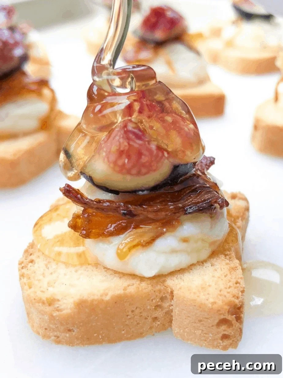 Mini Canape Toasts for Party Appetizers 5 Canape appetizer with fig and goat cheese.