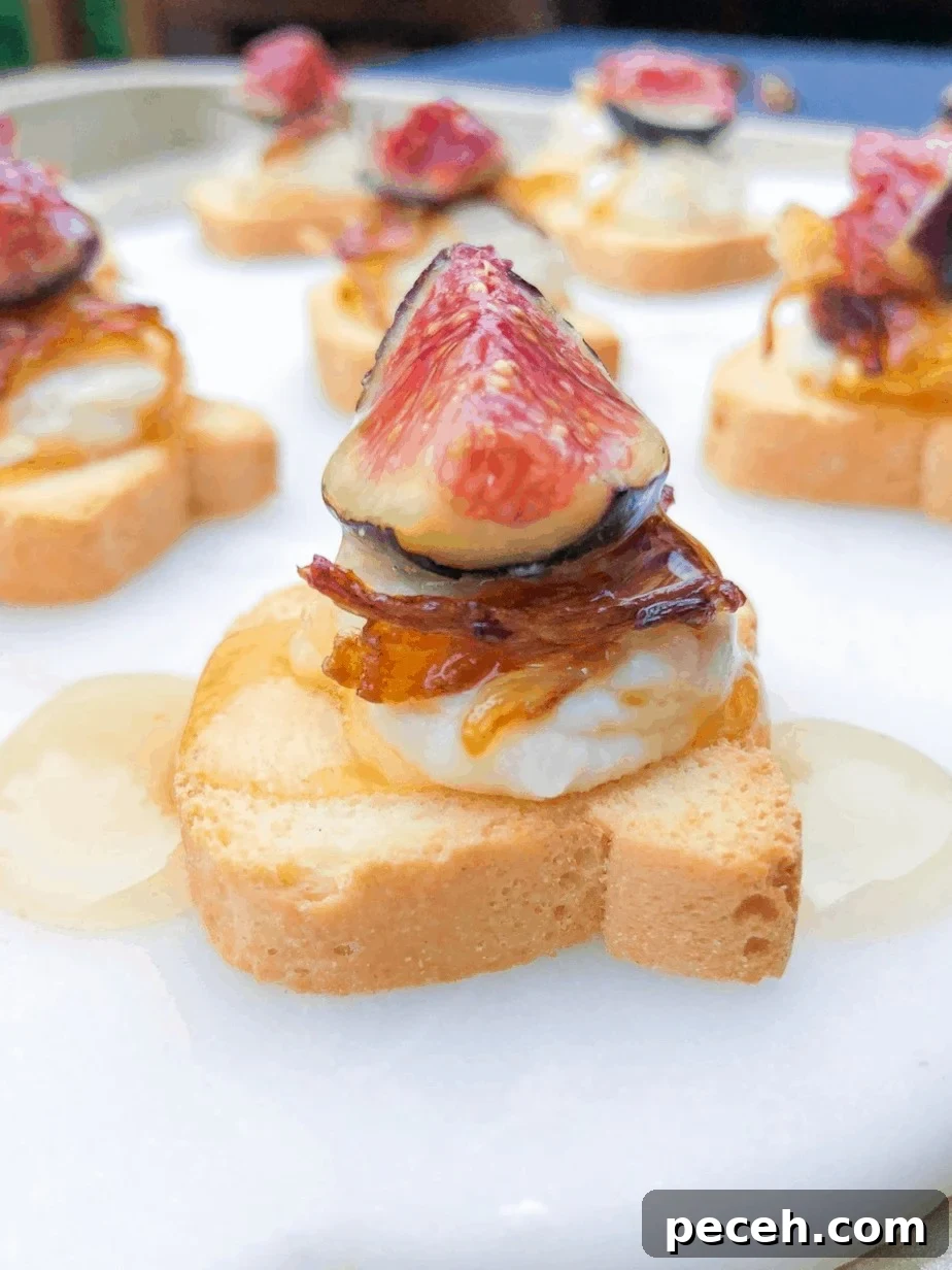 Mini Canapé Toasts With Sweet Cheese