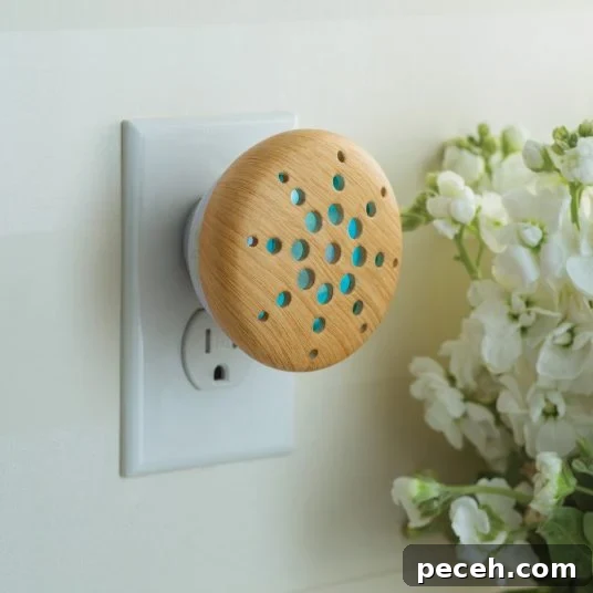 Top Non-Toxic Plug-In Air Fresheners for Safe Home Fragrance 9 Airomé decorative plug-ins