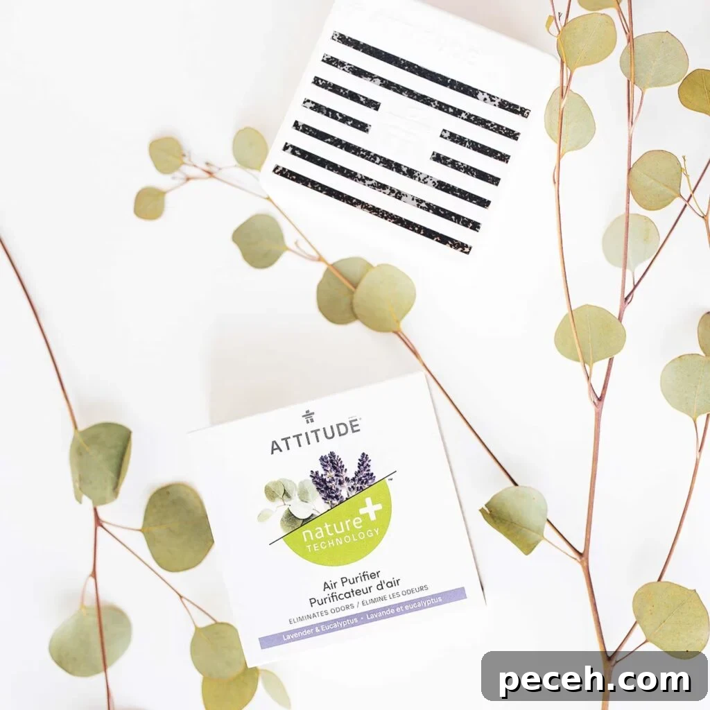 Top Non-Toxic Plug-In Air Fresheners for Safe Home Fragrance 16 ATTITUDE air purifier