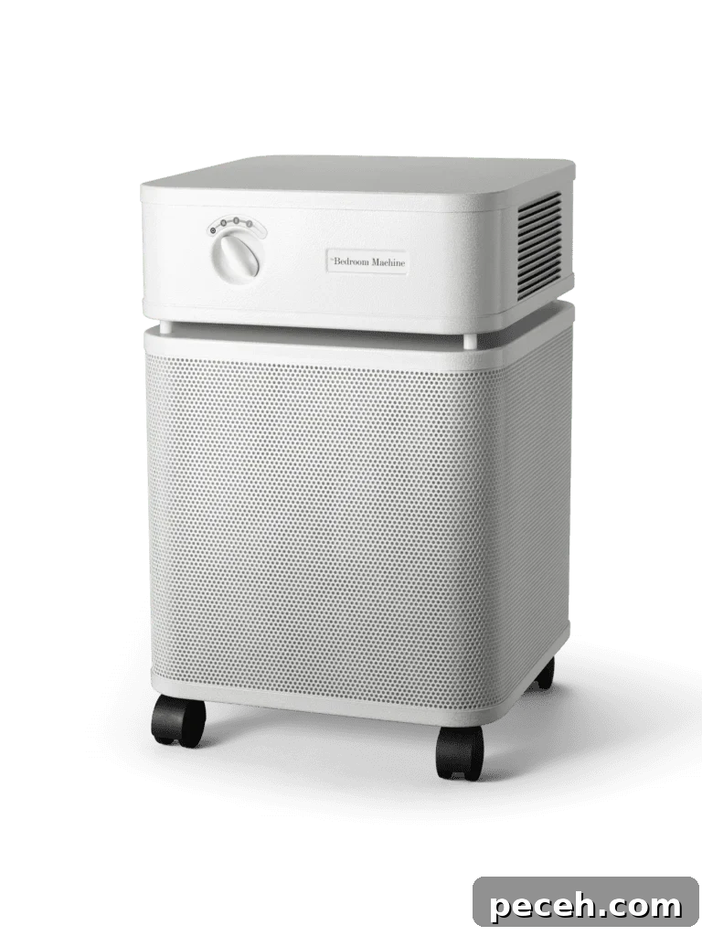 Top Non-Toxic Plug-In Air Fresheners for Safe Home Fragrance 19 air purifier unit