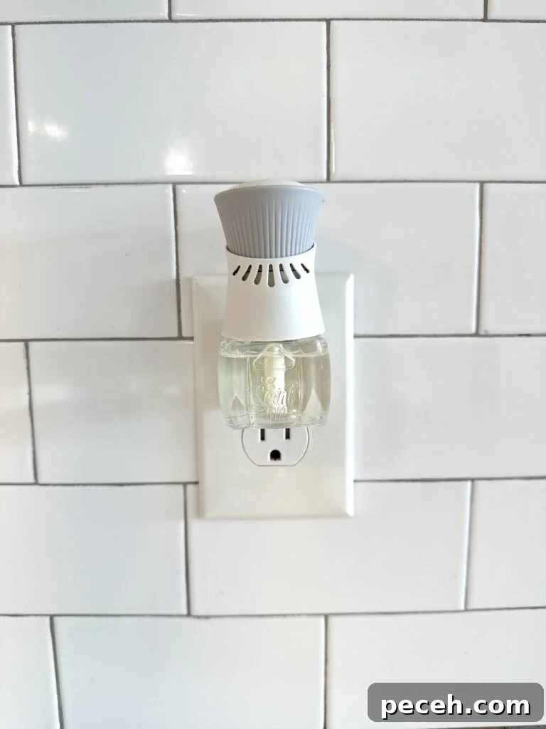 Top Non-Toxic Plug-In Air Fresheners for Safe Home Fragrance 2 Scent Fill plug-in refills