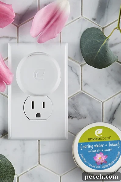 Top Non-Toxic Plug-In Air Fresheners for Safe Home Fragrance 6 Enviroscent natural plug-in