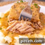 Close up view of fork with ranch pork chops.