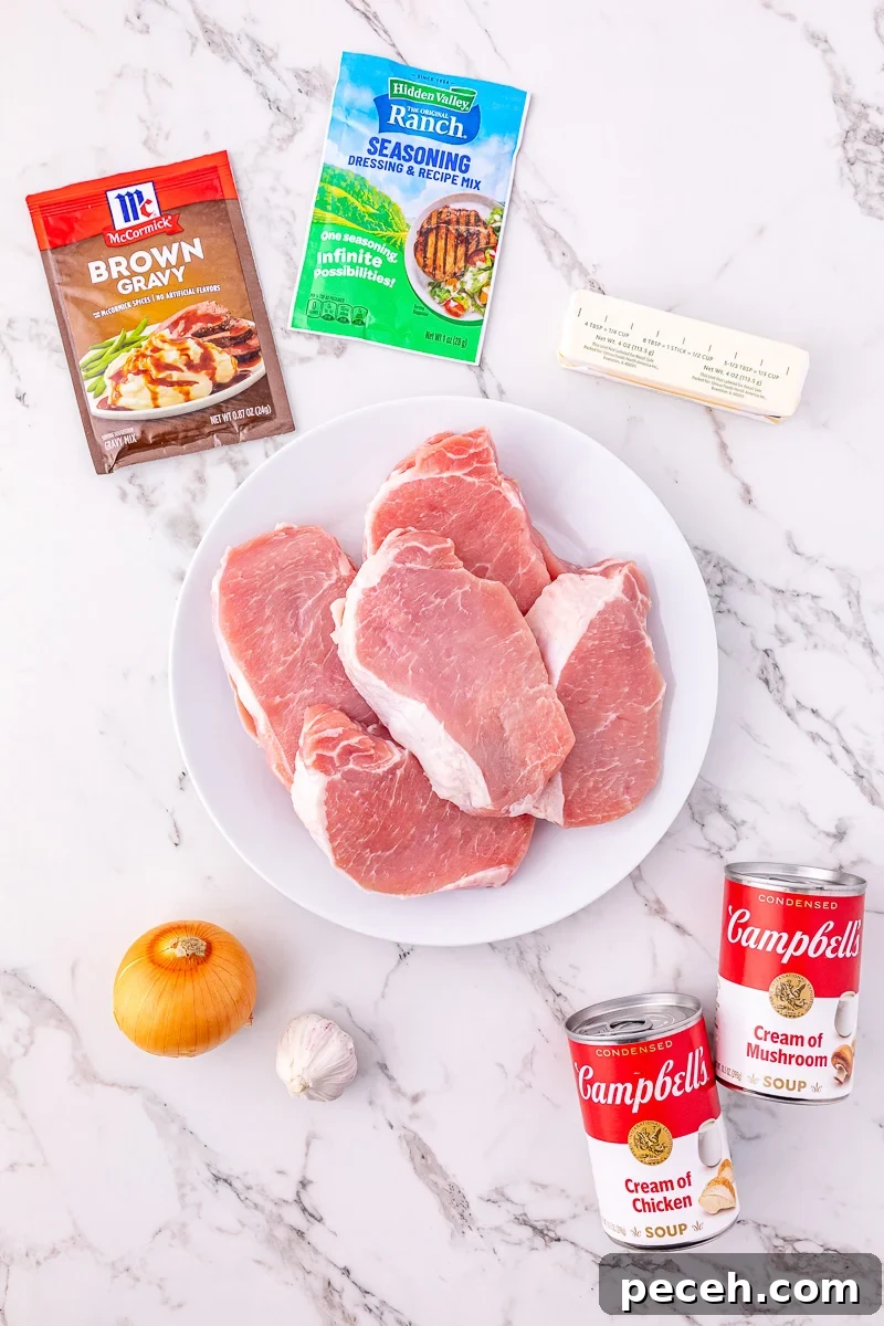 Ingredients for ranch pork chops laid out on kitchen counter in preparation for the recipe.