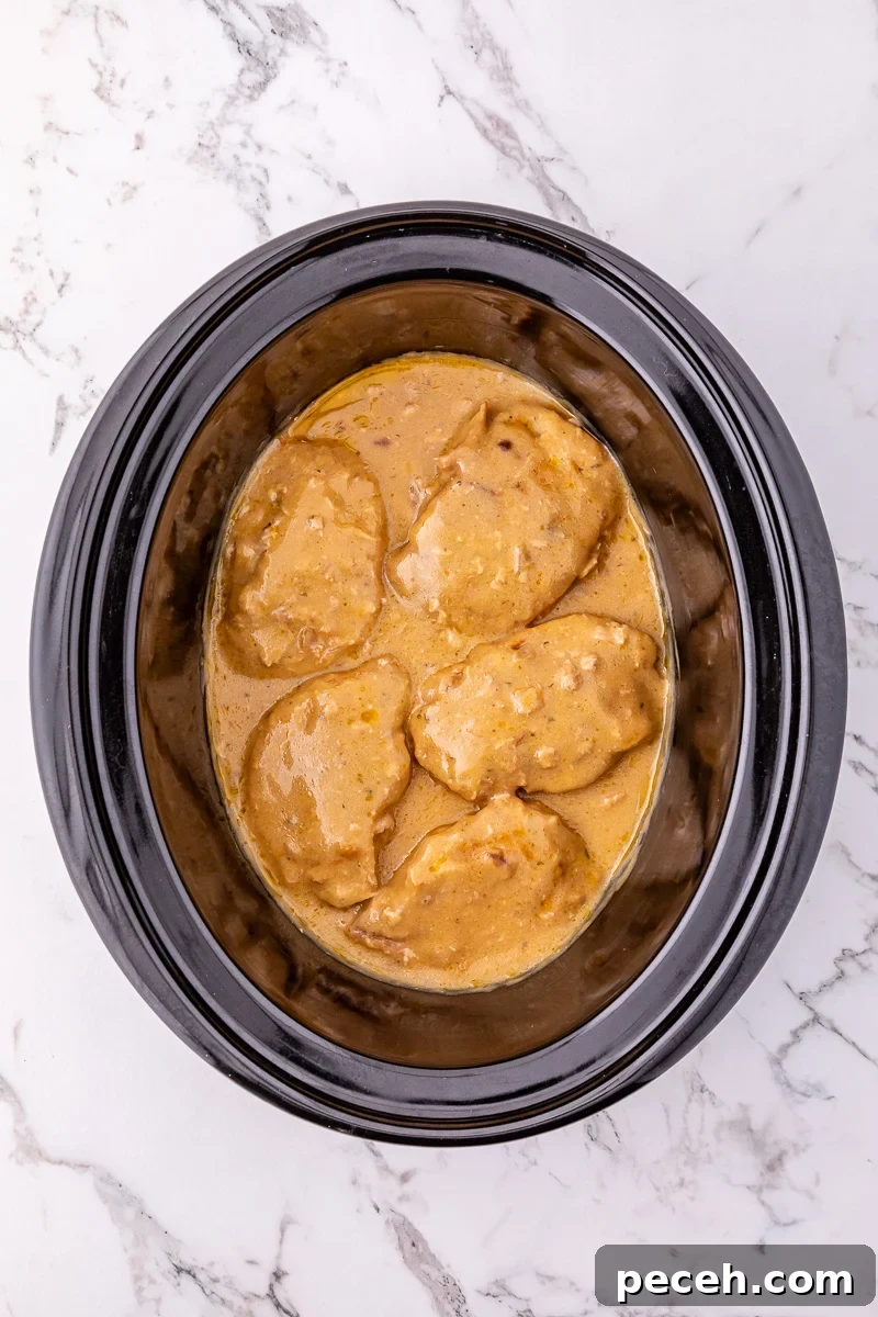 Cooked ranch pork chops in slow cooker ready to be served.