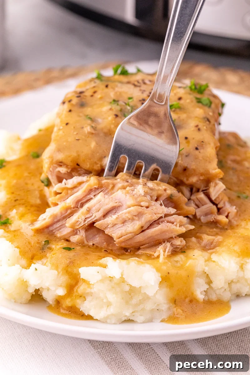 Close up view of fork with ranch pork chops.
