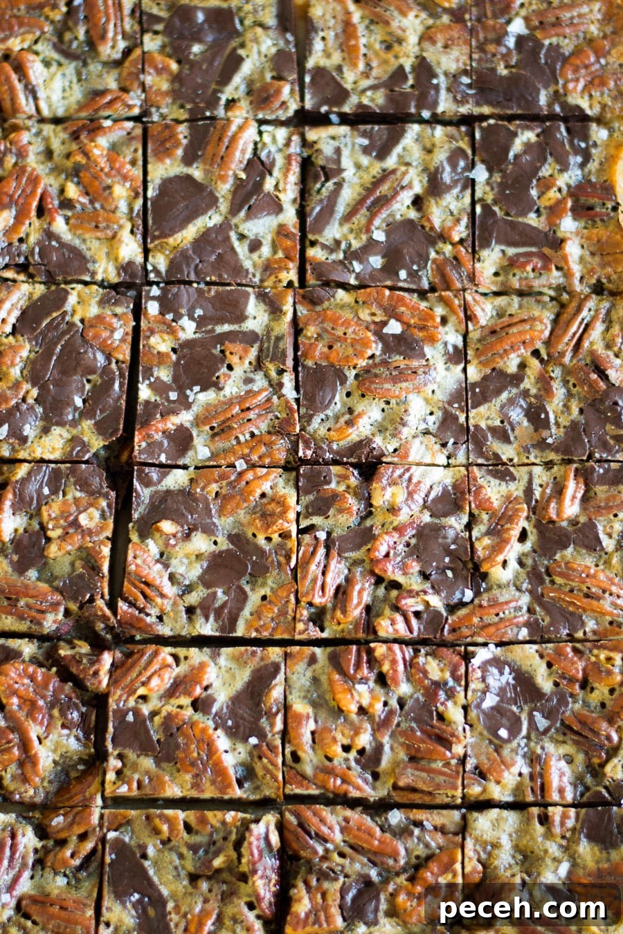 Bourbon Chocolate Pecan Pie Bars Recipe 3 Bourbon-Chocolate Pecan Pie Bars | Sarcastic Cooking