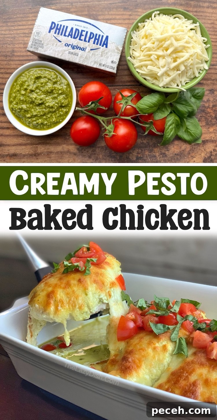 Creamy Pesto Baked Chicken Recipe with Garlic Parmesan Crust 12 Are you a cream cheese lover? You're going to love this quick and easy way of baking chicken in the oven with just a few basic ingredients! It's cheesy, delicious, family friendly, low carb, and so simple to make any night of the week for a casual dinner at home.