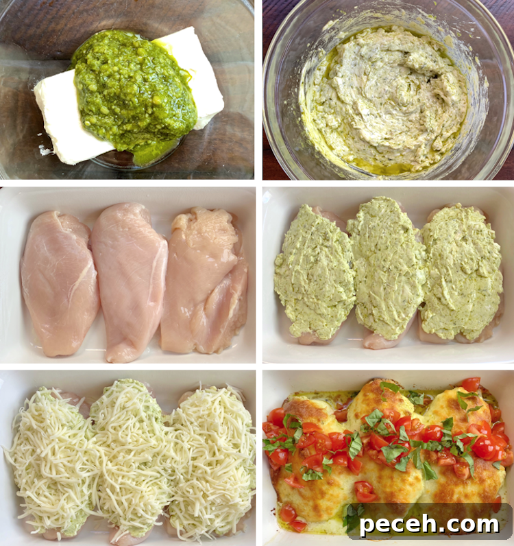 Creamy Pesto Baked Chicken Recipe with Garlic Parmesan Crust 4 This easy chicken dinner recipe is made with a yummy mixture of cream cheese and basil pesto resulting in a flavorful way to bake chicken in the oven! My entire family loves this recipe and it's versatile because you can serve it alone, over pasta, with rice, or with potatoes.