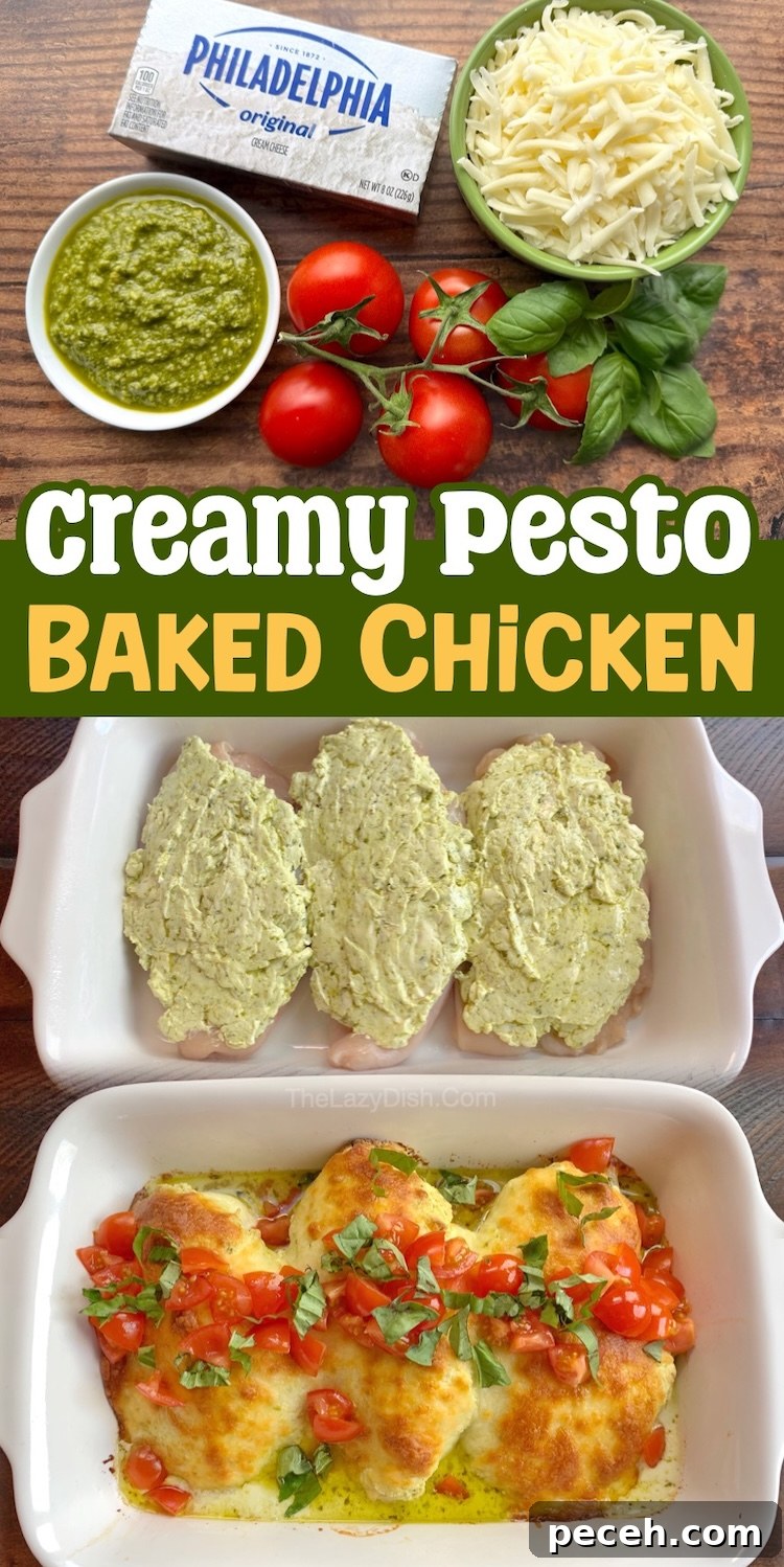 Creamy Pesto Baked Chicken Recipe with Garlic Parmesan Crust 9 This easy family dinner recipe only takes 5 minutes to prepare before placing it in the oven to bake! Just mix together a block of cream cheese with pesto, spread it over the chicken, top with shredded cheese, and bake for a yummy kid friendly meal the entire family will enjoy on busy weeknights. It's easy, low carb, and totally delicious!