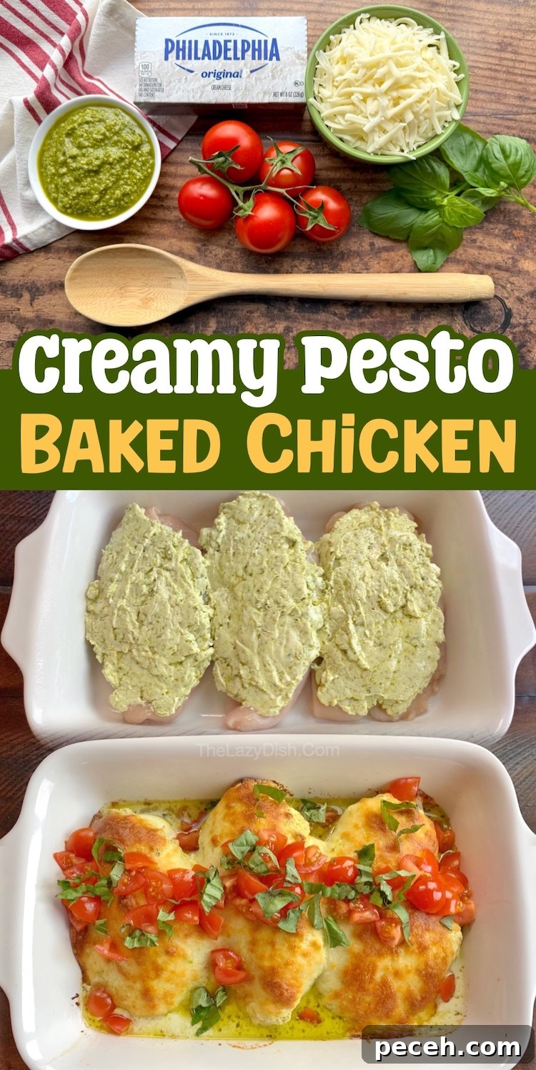Creamy Pesto Baked Chicken Recipe with Garlic Parmesan Crust 10 Are you looking for easy chicken dinner recipes? This amazing cream cheese and pesto chicken is made with just a few basic ingredients and is quick to prepare. This versatile dinner is family friendly, kid approved, and a healthy option for the entire family. Healthy comfort food! This oven baked chicken is naturally low carb but perfect for your picky eaters as well.