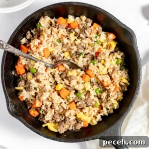 Ground Beef Fried Rice Recipe: Flavorful One-Pan Dinner 11 Ground Beef Fried Rice in cast iron skillet on counter.
