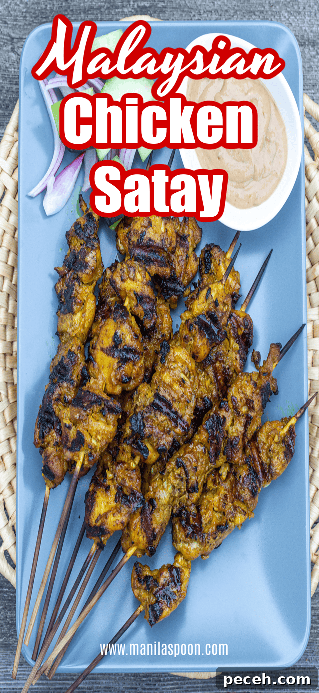 Malaysian Satay
