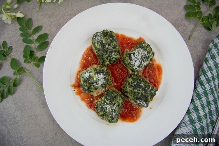spinach ricotta gnocchi spinach ricotta gnocchi with marinara sauce