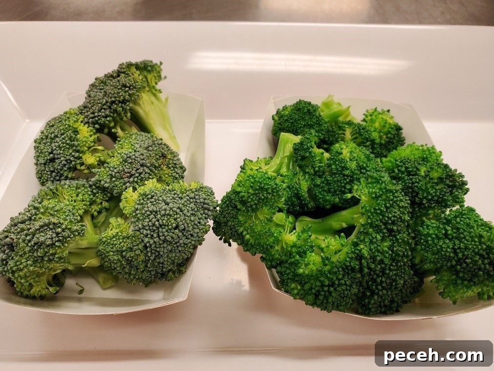Blanching Vegetables for School Meal Programs: Safety & Tips 6 Raw broccoli (left) and blanched broccoli (R)