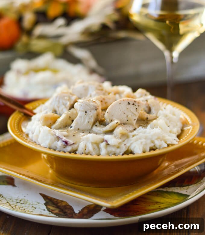 A bowl of homemade chicken and noodles on a bed of mashed potatoes with a glass of white wine in the background.