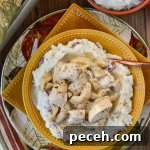 A bowl of homemade chicken and noodles over a bed of mashed potatoes.