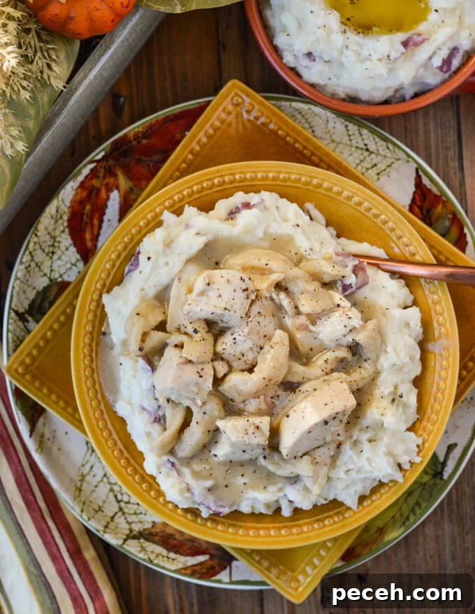 A bowl of homemade chicken and noodles over a bed of mashed potatoes.