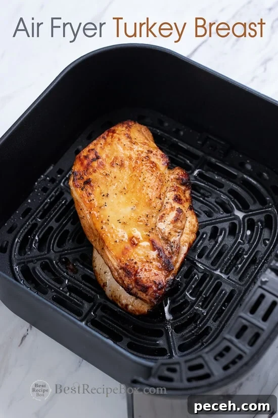 Air Fried Turkey Breast Recipe in the Air Fryer with Lemon Pepper or Herbs | @BestRecipeBox Air Fried Turkey Breast Recipe in the Air Fryer with Lemon Pepper or Herbs in a basket