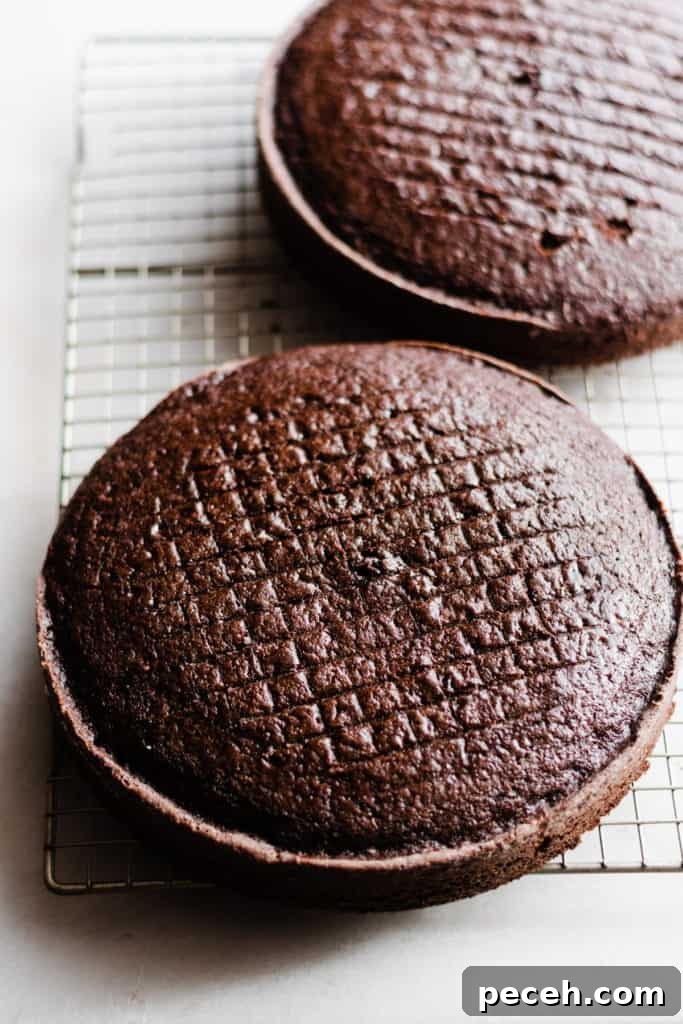 Mix cake crumbs with frosting
