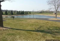 Spring Swing Guide: What’s New and Fun This Season