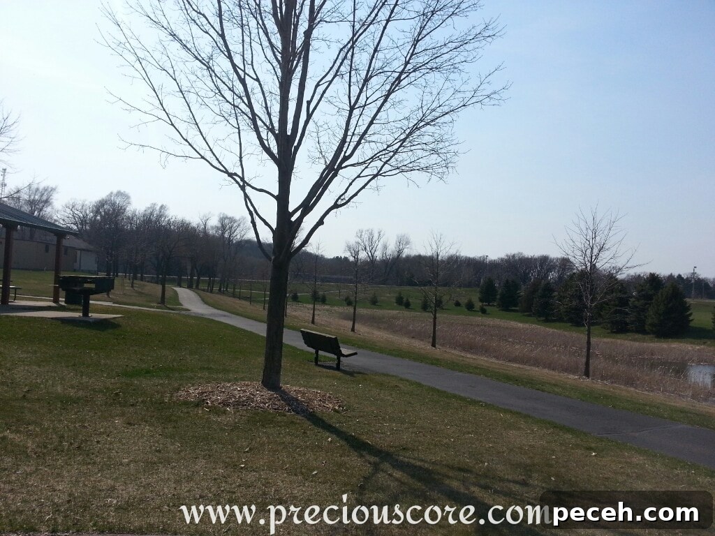Spring Swing Guide: What’s New and Fun This Season 3 Outdoor scene